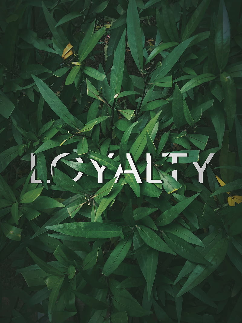 Be Loyal, beauty, natural, plant, plants, princess, HD phone wallpaper