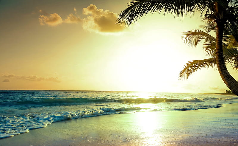 Tropical Beach Sunset , beach, sunset, nature, HD wallpaper