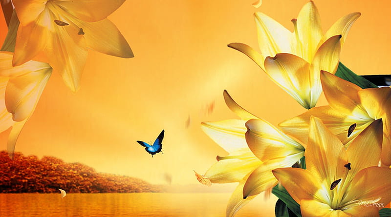 Lily Sunset, fall, flowers, autumn, yellow, sunset, beach, gold, butterfly, bright, papillon, flowers, lilies, sky, trees, serene, lily, summer, sunshine, petals, HD wallpaper