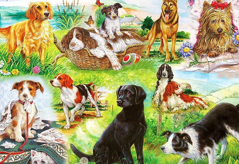Wagging Tails, painting, races, artwork, dogs, HD wallpaper