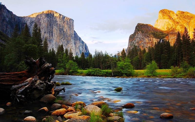 Merced River, El Capitan and Bridalveil, Yosemite National Park, California, california, mount, bridalveil, clouds, cenario, foliage, nice, stones, gold, scenario, landscapes, sceneic, paisage, rivers, , paysage, merced river, cena, golden, black, sky, trees, pines, peisaje, panorama, cool, mountains, awesome, el capitan, colorful, brown, gray, bonito, yosemite, graphy, green, unisted states, scenery, beije, blue, amazing, view, colors, maroon, leaf, paisagem, usa, day, nature, scene, HD wallpaper