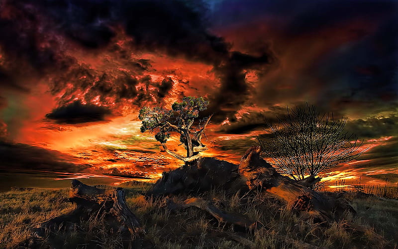 Still Life, mountain, tree, cloud, beauty, fields, sunset, sky, HD wallpaper Still Life, mountain, tree, cloud, beauty, fields, sunset, sky, HD wallpaper