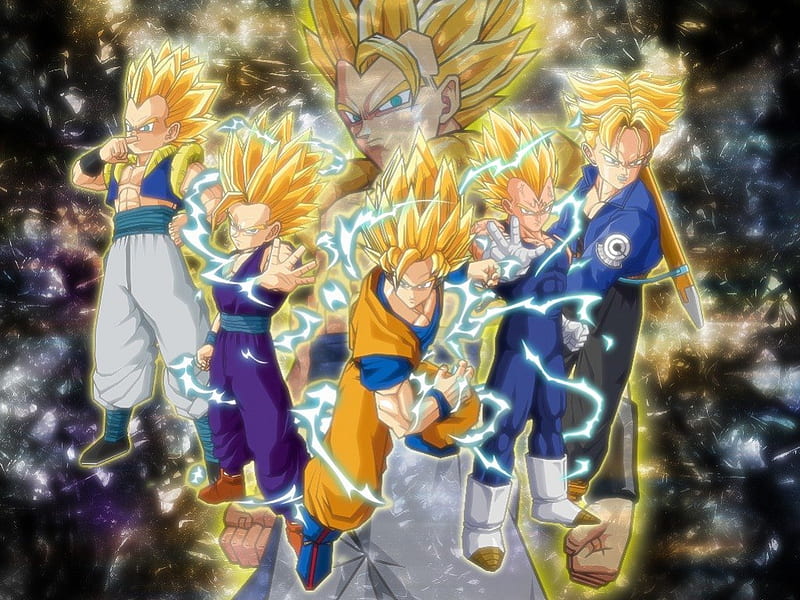 The Super Saiyans Gotenks Goku Gogeta Gohan Trunks Vegeta Hd Wallpaper Peakpx