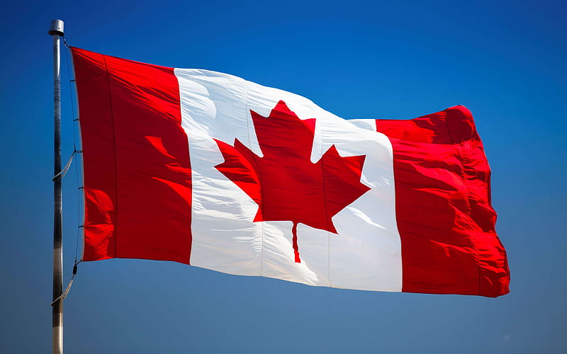 Flag of Canada on a flagpole, Canadian flag, blue sky, Canada, North  America, HD wallpaper | Peakpx