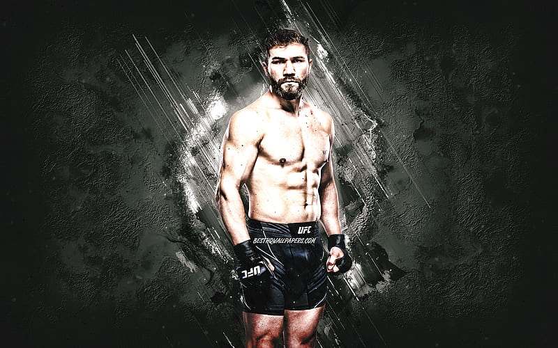 Ion Cutelaba, MMA, UFC, Moldavian fighter, gray stone background, Ion Cutelaba art, Ultimate Fighting Championship, HD wallpaper
