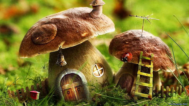 mushroom houses, mushroom, cute, house, small, HD wallpaper