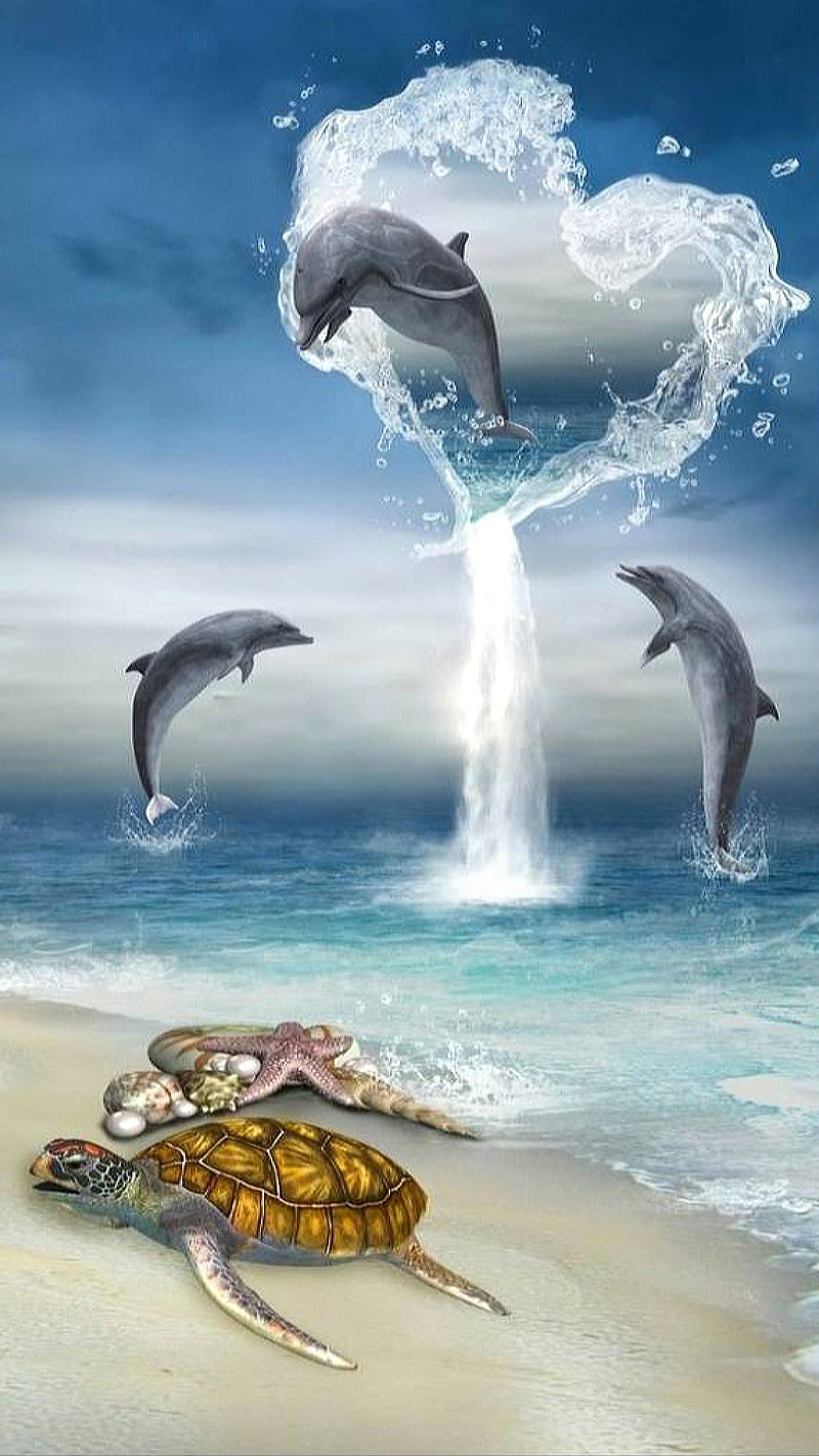 Dolphins beach dolphin heart jump sea splash starfish turtle HD  phone wallpaper  Peakpx