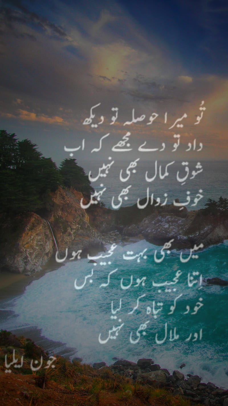 John Urdu Poetry, johnelia, HD phone wallpaper | Peakpx