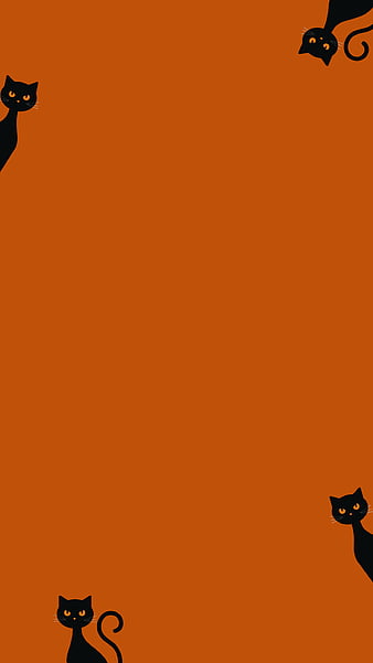 Các chú mèo đen siêu dễ thương được gặp gỡ trong Halloween Black Cats. Những chú mèo đen ẩn mình trên nền trăng sao và đầy ma thuật, tạo nên một không gian ma quái và say đắm. Hãy xem ngay hình ảnh liên quan đến Black Cats Halloween và cảm nhận sự may mắn rủng rỉnh đến từ những chú mèo tội nghiệp nhưng lại rất đáng yêu này.