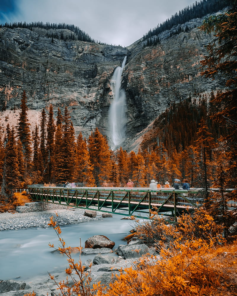 bridge, waterfall, river, rock, trees, nature, HD phone wallpaper