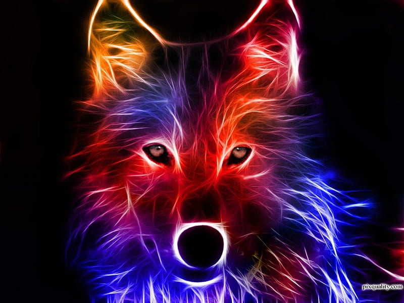 ಌ.Shining Fox.ಌ, colorful, glow, wonderful, shining fox, shine, bonito, magic, sweet, arts, splendor, graphic, love, beauty, miracle, gorgeous, animals, amazing, lovely, colors, abstract, cute, 3d, cool, gorgerous, fox, shining, splendidly, awesome, nature, dogs, HD wallpaper