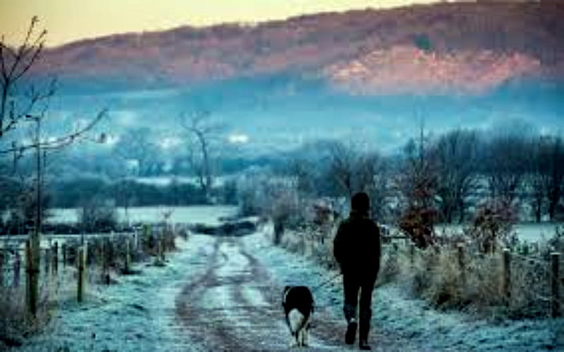 Temperatures of -9 Degree In England, Cold, England, Person, Dog, Temperatures, Snow, HD wallpaper