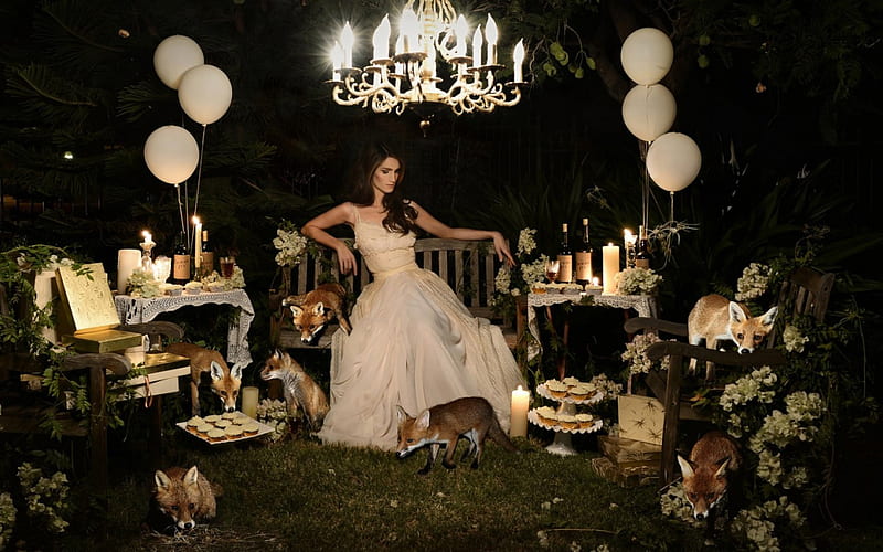 candle, dress, model, food, woman, animal, sweet, cupcakes, girl, fox, balloons, party, drink, white, light, night, HD wallpaper