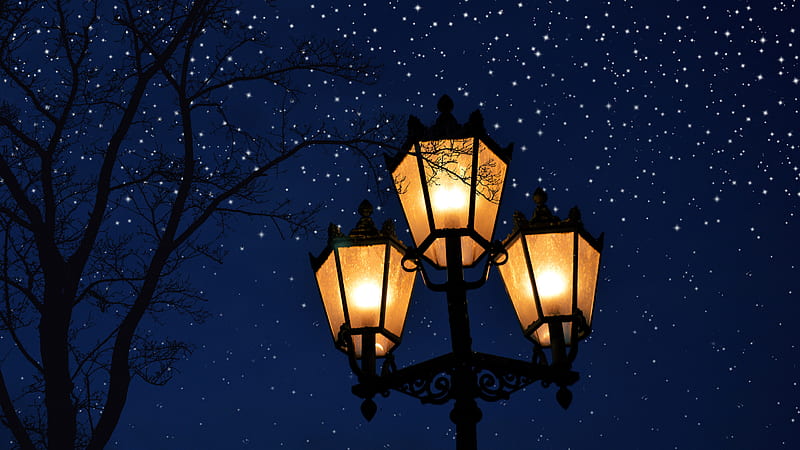 Lamp Post And Tree Without Leaves In Background Of Blue Sky And Stars Nature, HD wallpaper