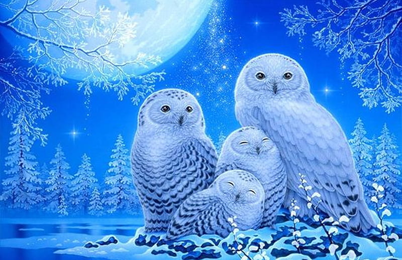 snowy owl, paintings, nature, blue, art, owl, birds, HD wallpaper