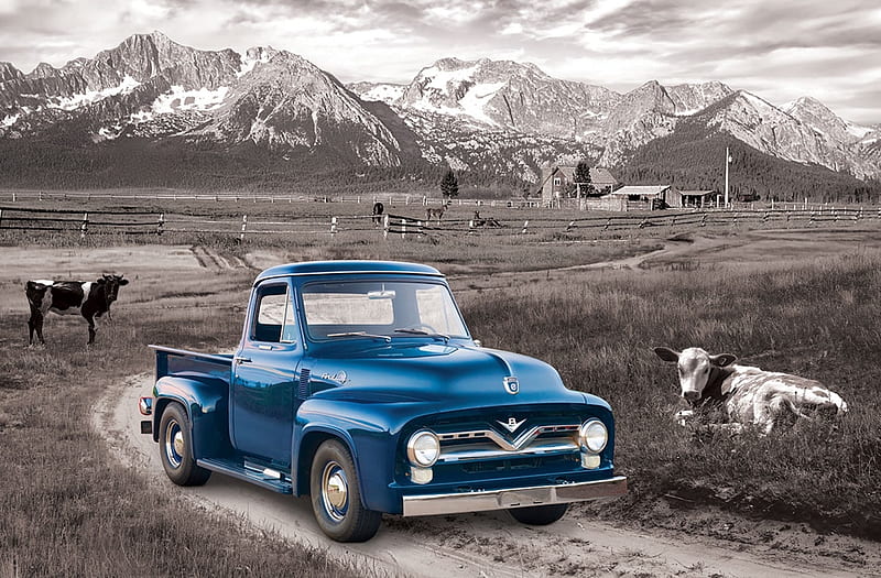 1954 Ford F-100, mountain, pick up, black and white, truck, blue, HD wallpaper