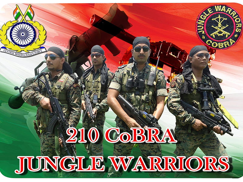 Cobra Commandos, army, crpf, hindustan, india, indian, jungle, solider,  warrior, HD wallpaper | Peakpx
