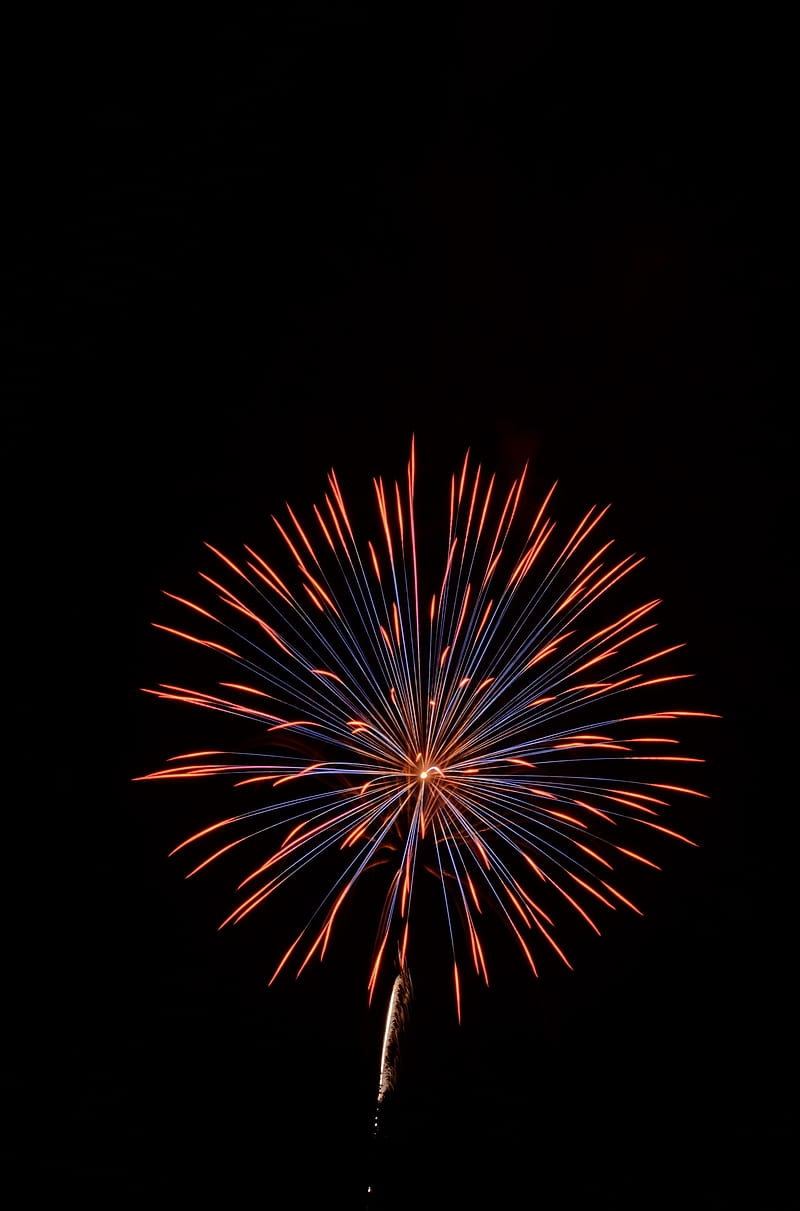 fireworks, holiday, sparks, black, HD phone wallpaper