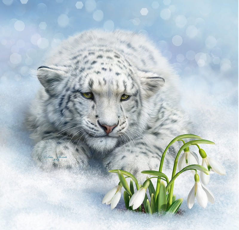 Waiting for spring, winter, alenaekaterinburg, snowdrop, frumusete, luminos, spring, snow leopard, iarna, animal, cute, fantasy, green, flower, primavara, white, HD wallpaper