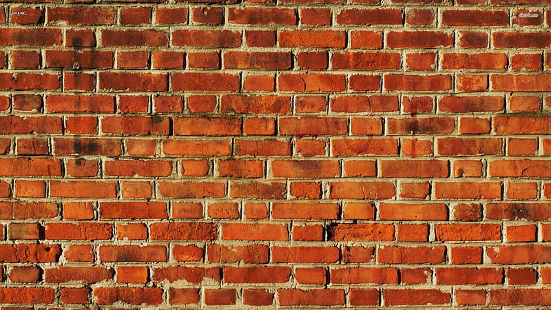 brick wall, mortar, clay, wall, brick, HD wallpaper