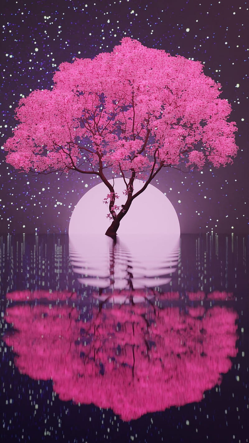 Night cherry blossom HD wallpapers  Pxfuel