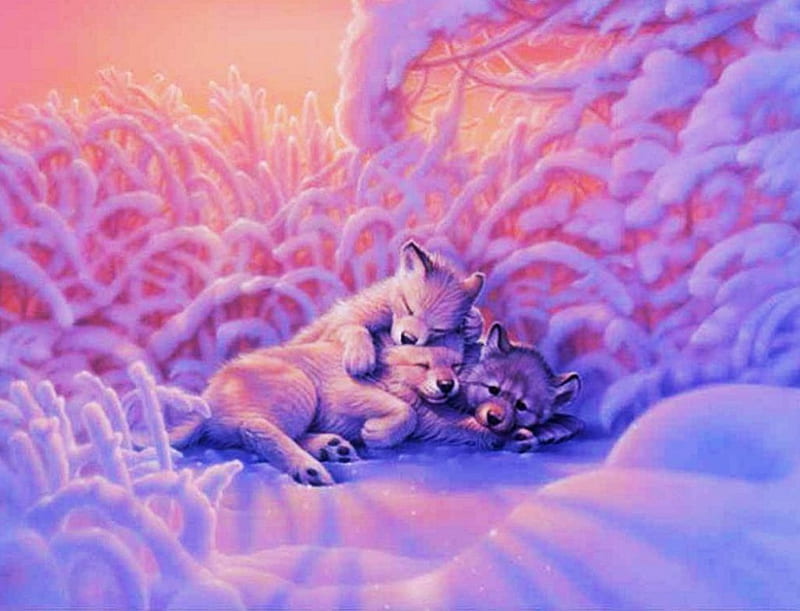 Baby Wolves, sun, snow, artwork, pups, HD wallpaper