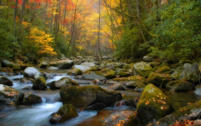 autumn, forest, autumn landscape, river, waterfall, HD wallpaper
