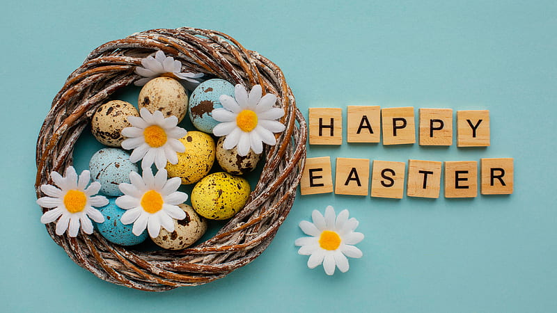 Camomile Easter Egg Happy Easter Easter, HD wallpaper