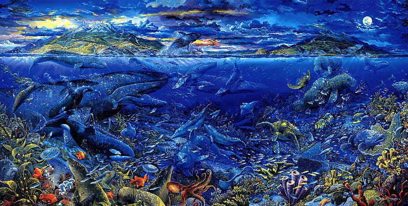 Seamless patterns with sea animals Cute blue  Stock Illustration  76227680  PIXTA