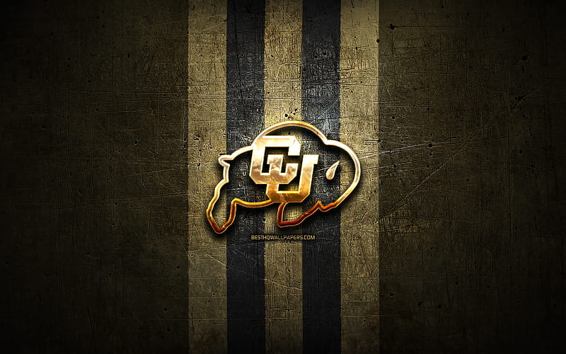 Colorado Buffaloes, golden logo, NCAA, brown metal background, american football club, Colorado Buffaloes logo, american football, USA, HD wallpaper
