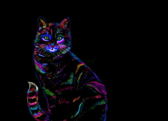 HD neon kitty wallpapers