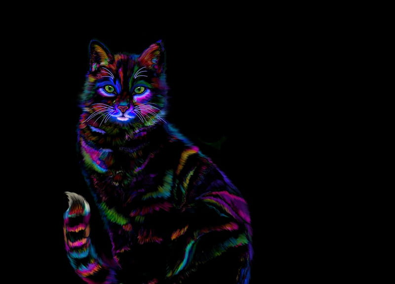 Neon cat, colorful, black, neon, rainbow, cat, nick gustafson, pisica, HD wallpaper