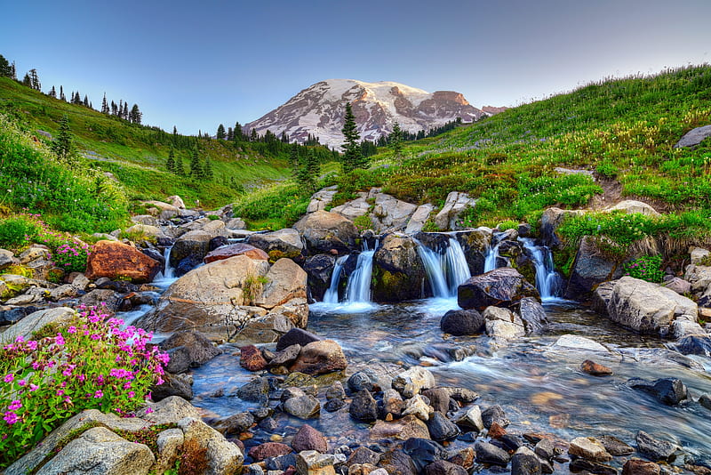 Mount Rainier NP, national park, wildflowers, summer, slope, spring, stream, grass, glacier, bonito, Mount Rainier, stones, HD wallpaper