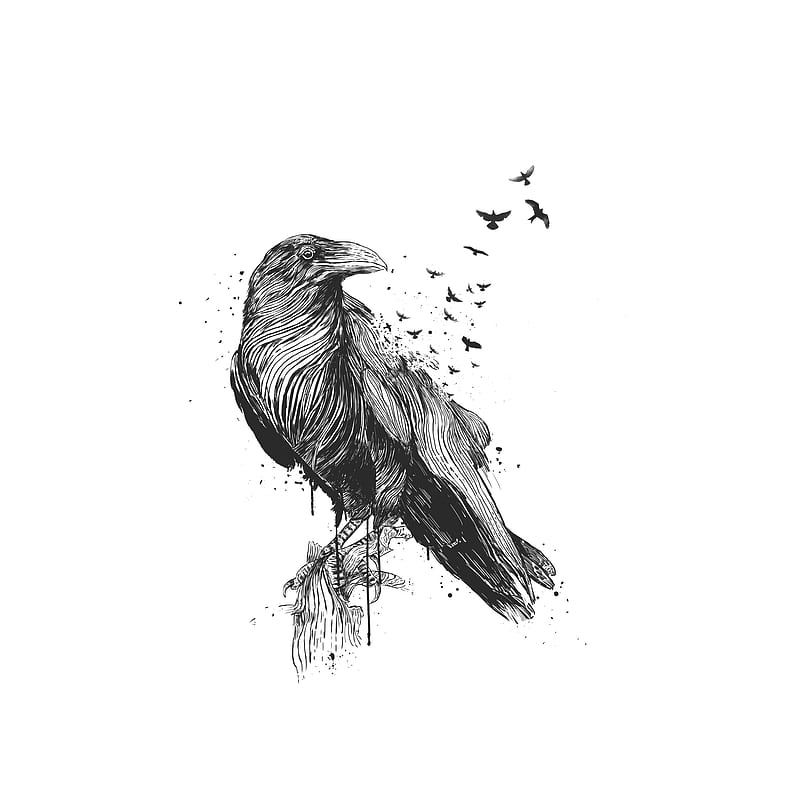 Born to be (bw), animals, birds, black and white, crow, drawing, ink, raven, surreal, surrealism, HD phone wallpaper