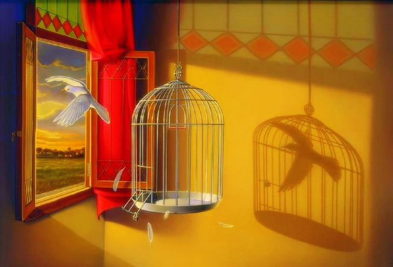 Escaped to dom, cage, window, bird, artwork, HD wallpaper
