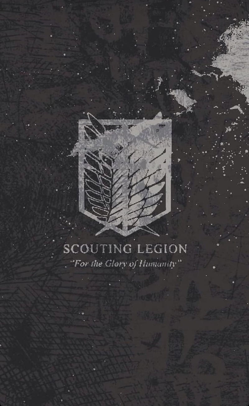 Scouts Legion , anime, aot, attack, erwin smith, levi, scout, squad, HD phone wallpaper