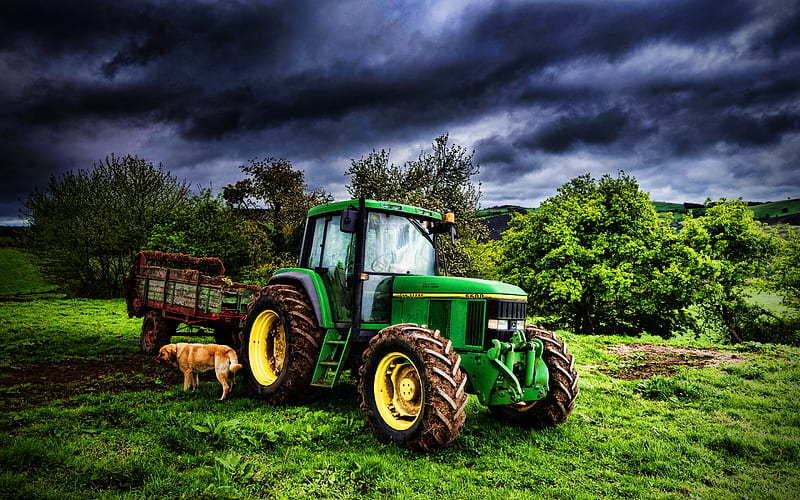 John Deere 6600, picking grass, green tractor, R, agricultural machinery, harvest, agriculture, John Deere, HD wallpaper