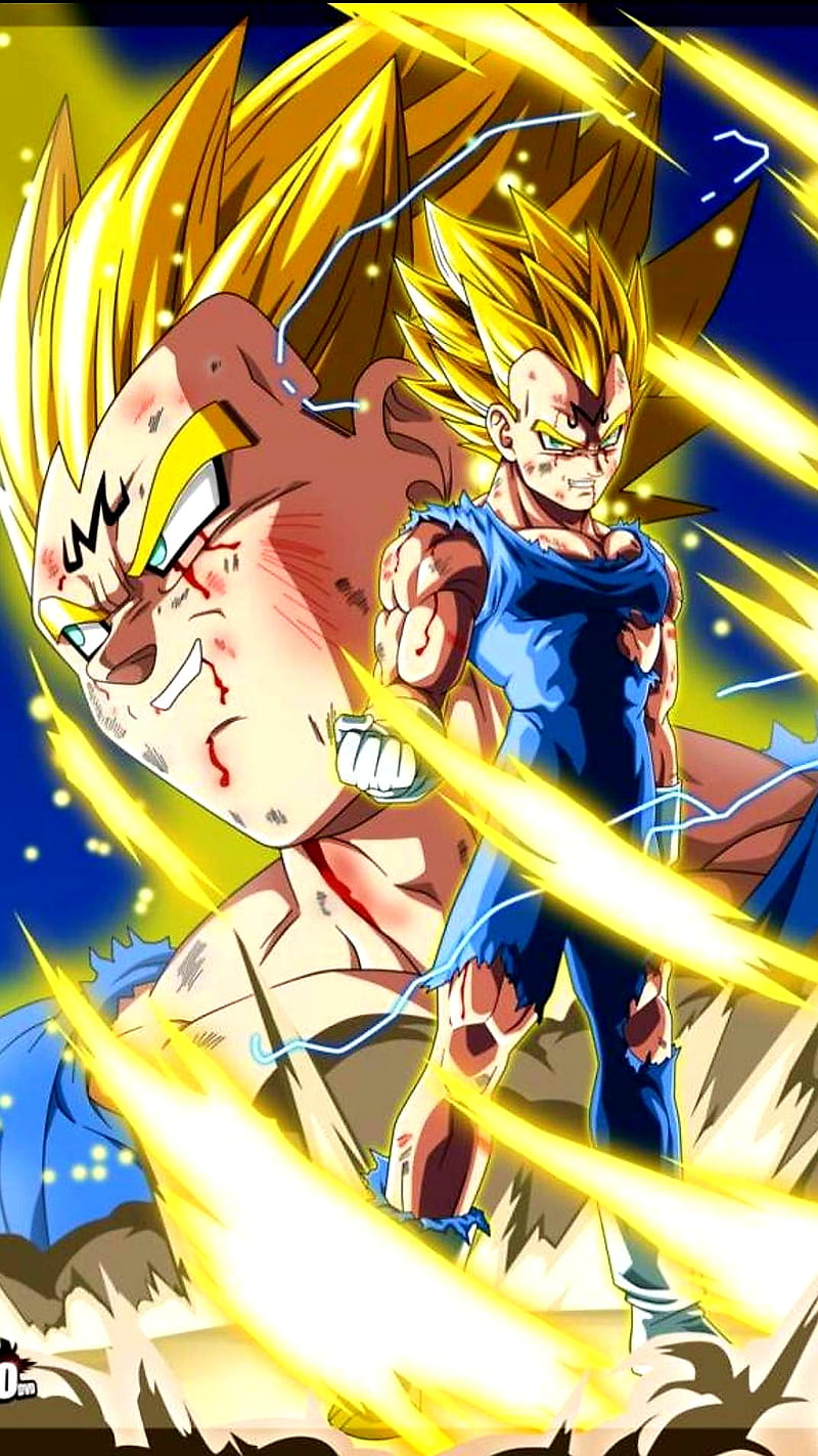 SSJ2 Vegeta and Goku, dbz, dokkan, dokkan battle, goku, super saiyan, vegeta,  HD phone wallpaper