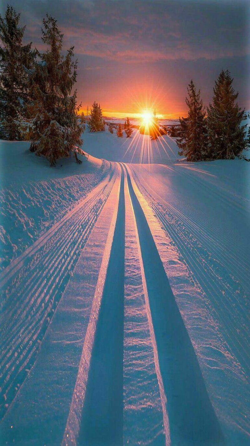 Winter Sunset, snow, sunset, HD phone wallpaper