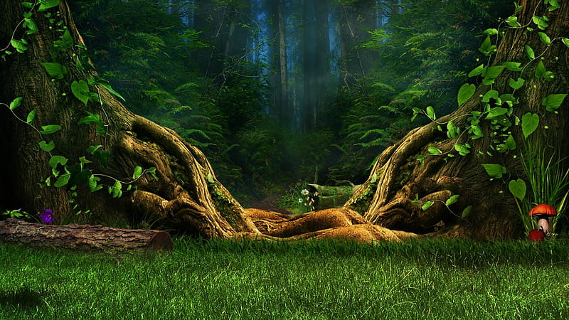 HD magical forest wallpapers | Peakpx