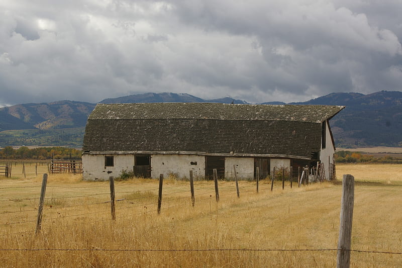Old Barn in Teton Valley, Idaho, Farms, Homesteads, Barns, Cattle, Hayfields, HD wallpaper