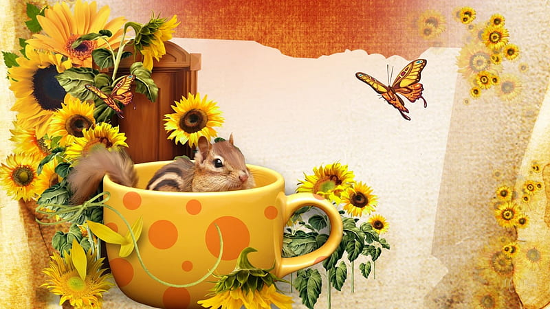 Chipmunk in a Cup, chipmunk, fall, autumn, butterfly, sunflowers, cup, HD wallpaper