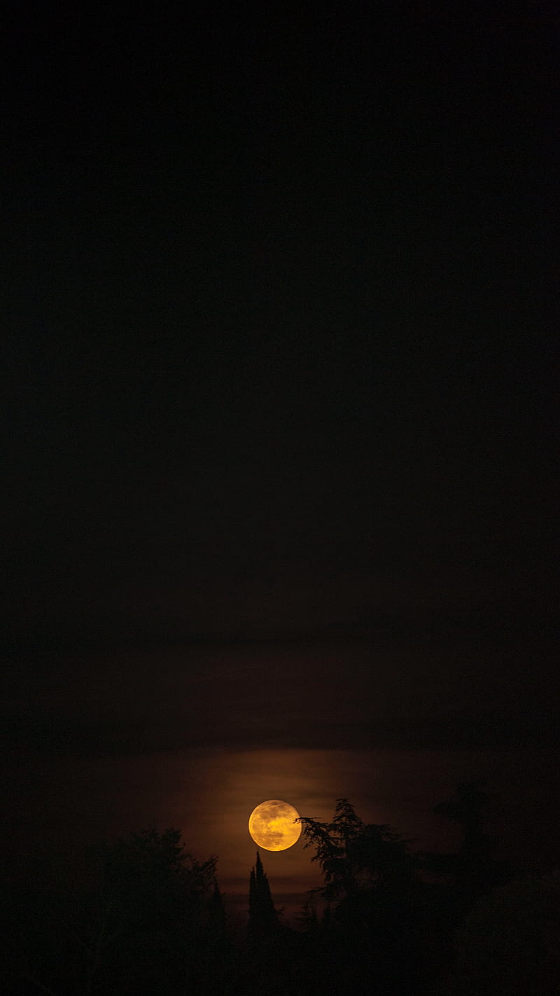 Đêm trăng tròn rực rỡ sắc bạc trên bầu trời đang chờ đón bạn tới khám phá. Bạn sẽ được đắm mình trong không khí yên tĩnh, ngắm nhìn trăng tròn phản chiếu trên hồ nước và cảm nhận được sự kì diệu của thiên nhiên.