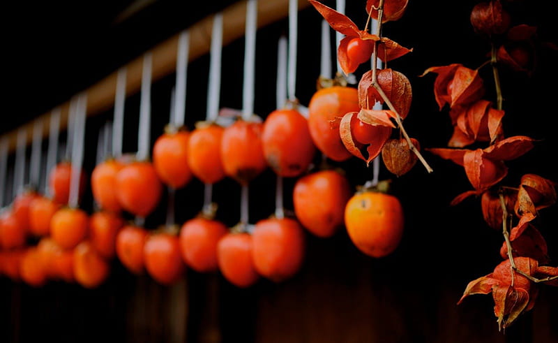 Drying Persimmons, japan, dry, fruits, macro, tsumago, HD wallpaper