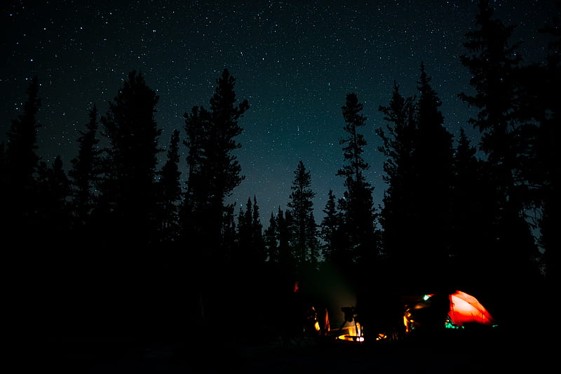 night, campfire, camping, forest, HD wallpaper