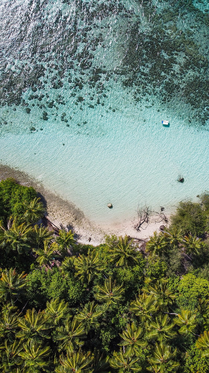 beach, maldives, nature, ocean, palmtrees, HD phone wallpaper