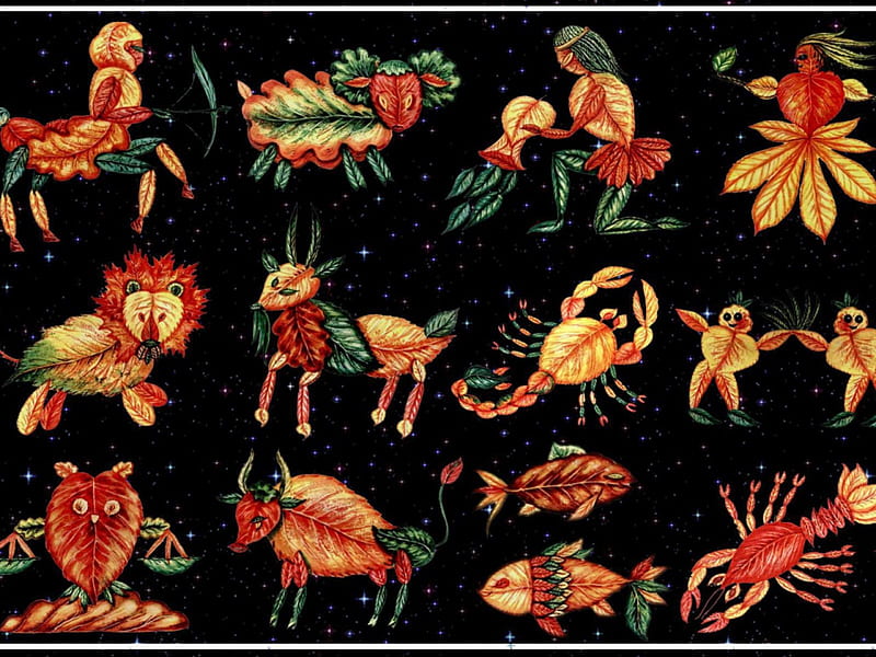 Zodiac, cancer, orange, aquarius, capricorn, scorpio, taurus, sagittarius, bull, balance, leo, black, lion, aries, gemini, pisces, maiden, HD wallpaper