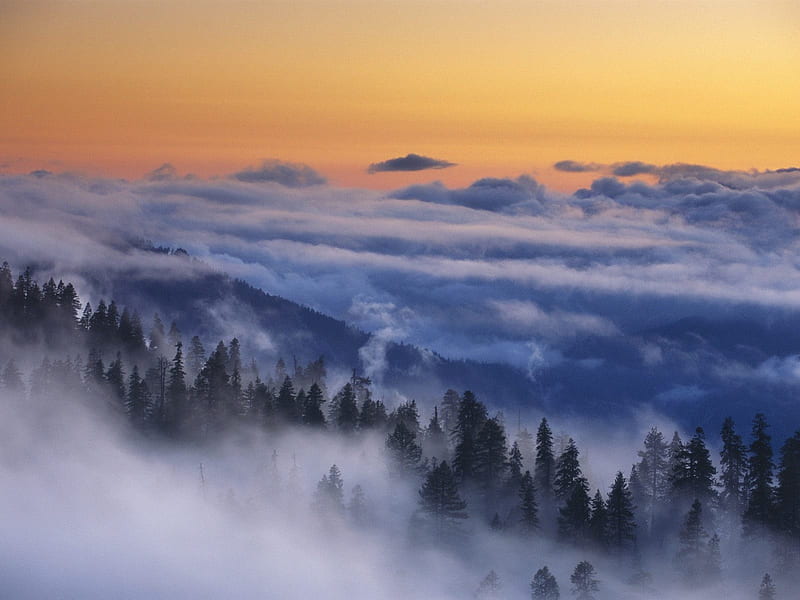 Parque nacional de Yosemite, California, arvores, nature, yosemite, paisagem, california, nevoa, ceu, neblina, HD wallpaper
