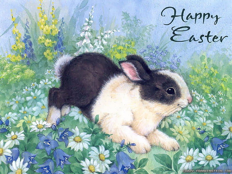 Easter Greetings, easter, bunny, white, black, greetings, card, HD wallpaper