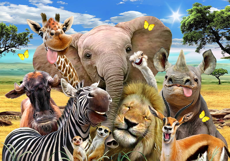 Africa selfie, luminos, elephant, lion, africa, animal, wild, funny, face,  rhino, HD wallpaper | Peakpx